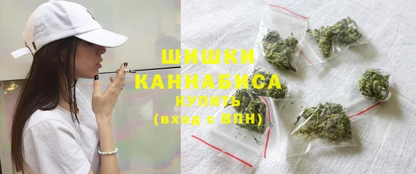 молекула духа Богородицк