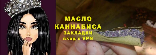 молекула духа Богородицк