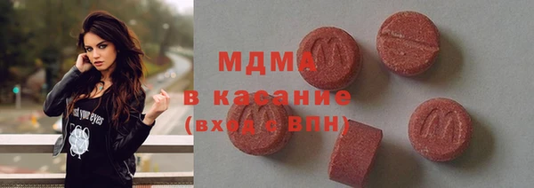 молекула духа Богородицк
