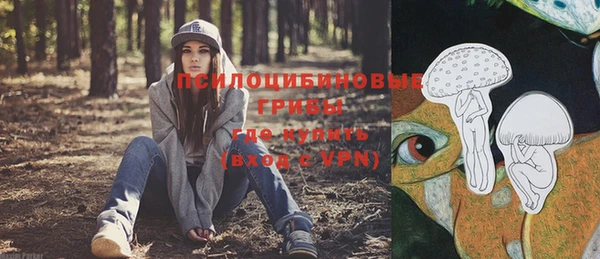 МДМА Богородск