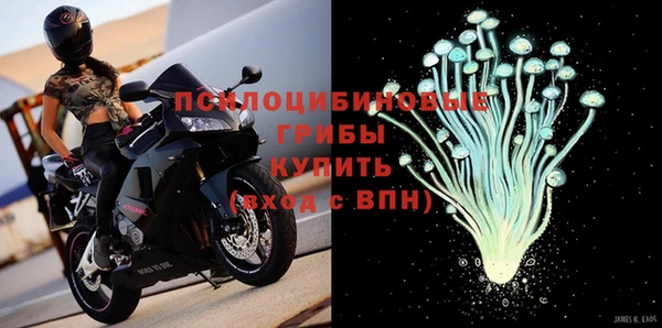 молекула духа Богородицк