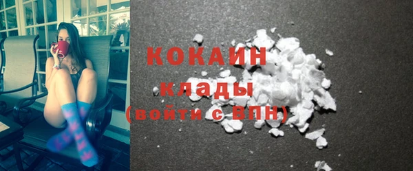 молекула духа Богородицк