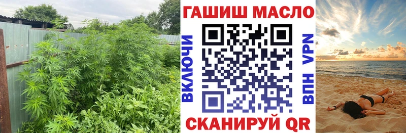 kraken ссылки Улан-Удэ ТГК гашишное масло