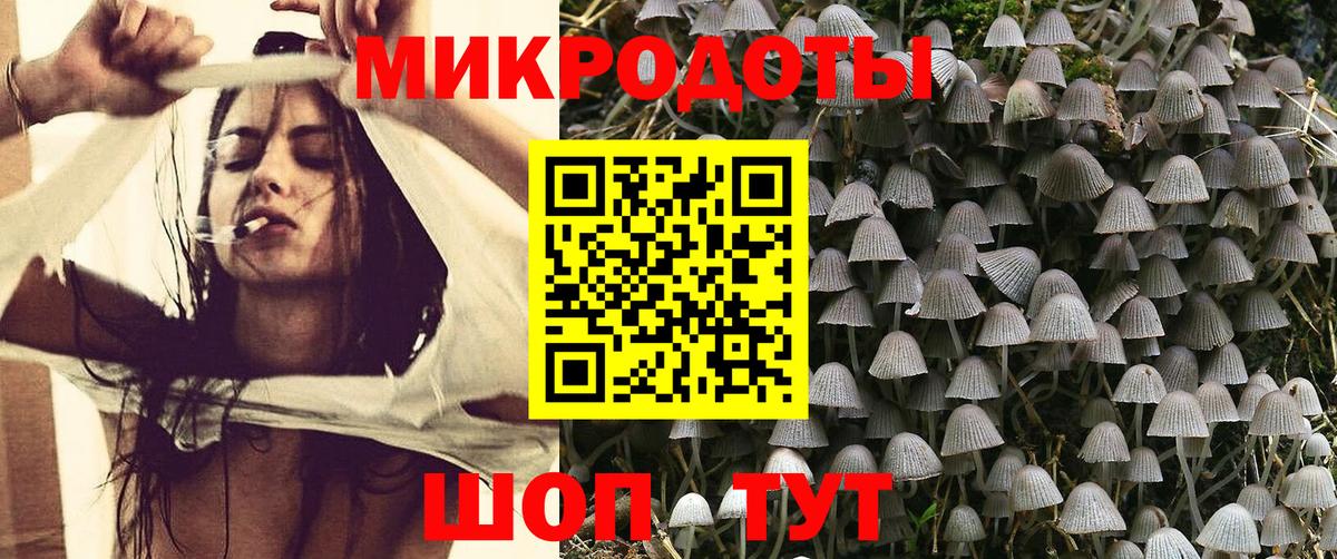 Псилоцибиновые грибы прущие грибы Улан-Удэ