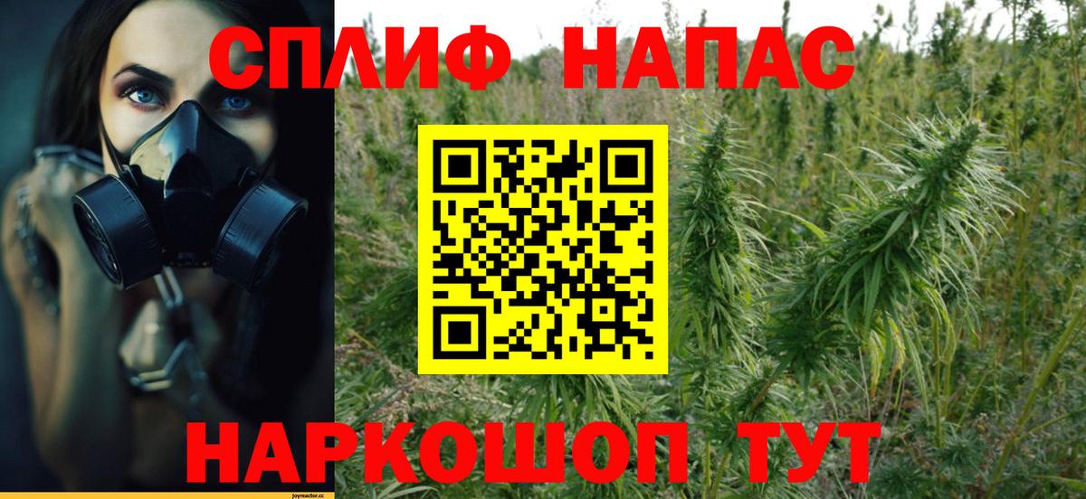 Канабис конопля  Бошки марихуана конопля  Каннабис MAZAR  Вход с VPN  Улан-Удэ 